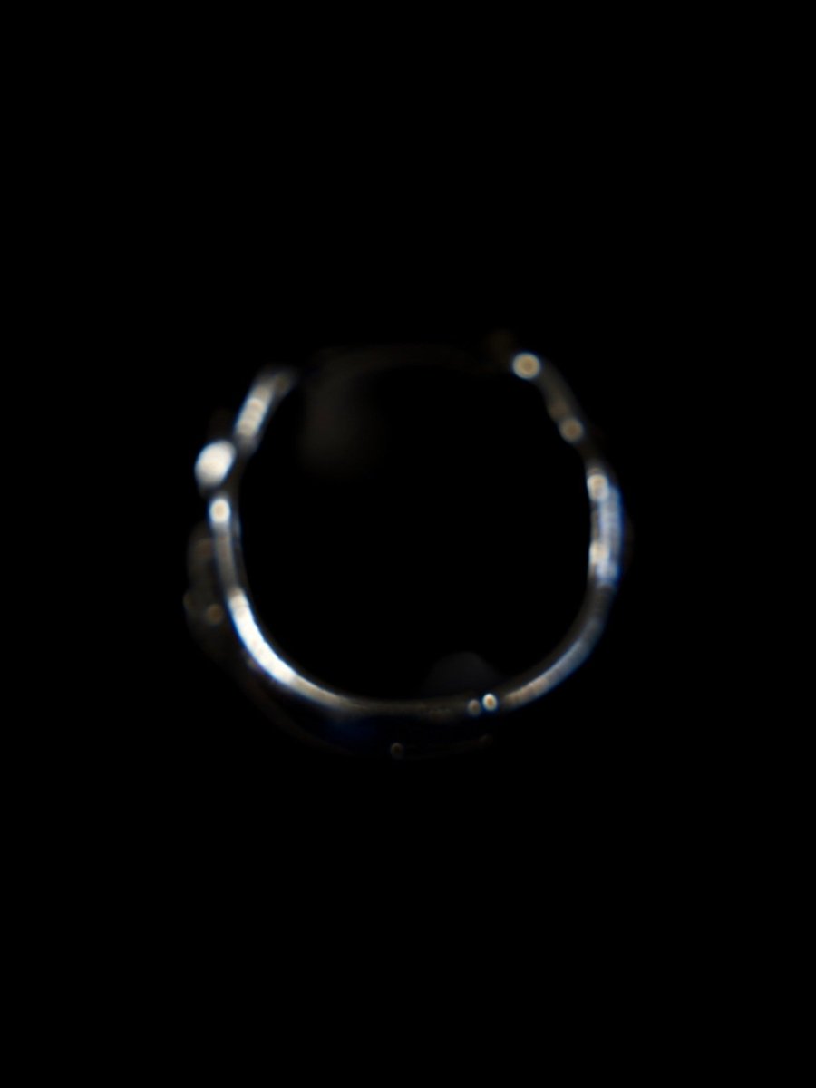 Houndoom Megastone Ring - Dekayed