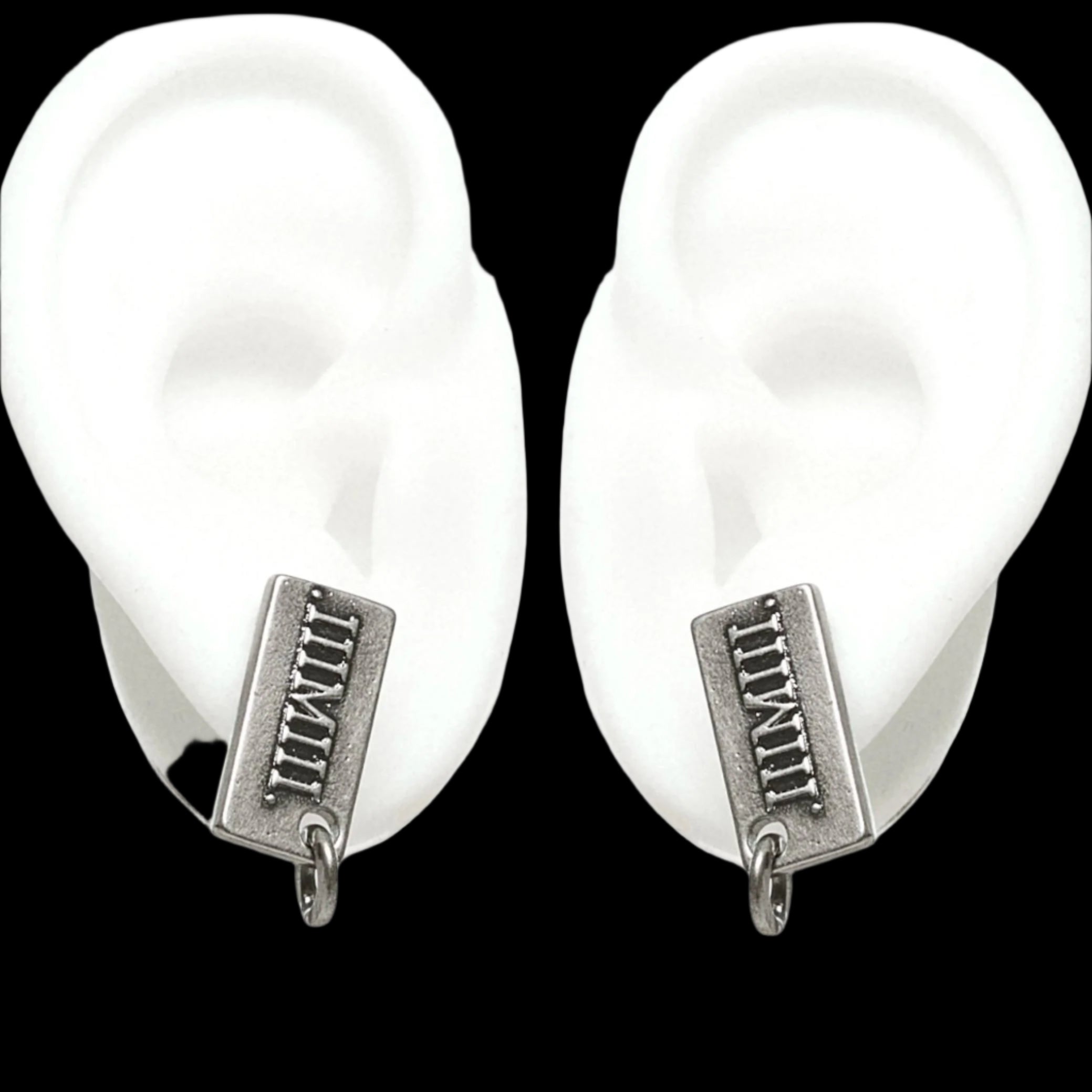 LockDown Links Earrings