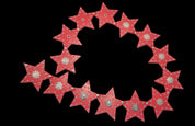 Starburn Belt