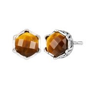 Tiger Eye Earrings - Dekayed